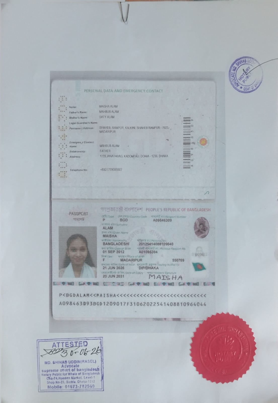 কটন টি-শার্ট (১২ পিস)